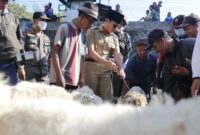 Saat Bupati Trenggalek, Mochamad Nur Arifin kunjungi pasar hewan untuk memonitoring harga hewan jelang idul adha