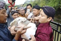 Bupati Trenggalek berusaha mengangkat kepala kerbau untuk dilarung ke Dam Bagong. (Foto : Prokopim Trenggalek)
