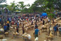 Situasi jual beli di Pasar Hewan Kecamatan Trenggalek