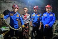 Satpol PPK Trenggalek berhasil menangkap ular yang masuk rumah warga
