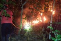 Petugas gabungan tengah berupaya memadamkan api yang membakar kawasan hutan wilayah Gunung Jaas, Kelurahan Ngantru, Trenggalek.