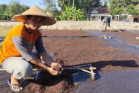 Salah satu petani cengkeh yang bernama Deni Sasongko tengah memanaskan cengkeh untuk dikeringkan.
