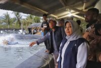 Pjs Bupati Trenggalek Dyah Ayu Ermawati tinjau tambak udang yang disinyalir belum memiliki IPAL