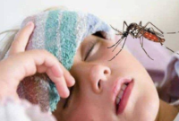 Ilustrasi seorang anak terkena demam berdarah dengue (foto: TribunHealth.com)