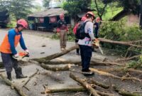 BPBD Trenggalek melakukan perampingan pohon di Jalan Nasional Trenggalek-Tulungagung.