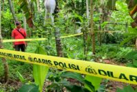 Tempat kejadian perkara di perkebunan milik warga Desa Ngrayung, Kecamatan Gandusari, Trenggalek.