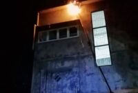 Tawon Vespa Affinis dibakar oleh Tim dari Satuan Polisi Pamong Praja (Satpol PP) dan Pemadam Kebakaran Kabupaten Trenggalek.