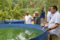 Komisi II DPRD Trenggalek melihat budidaya kolam ikan milik Kelompok Tani Makmur yang dipimpin bapak Munaji.
