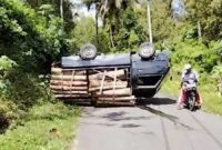 Pick-up terbalik saat angkut kayu di Munjungan Trenggalek. (Foto : Screenshot @Bambang S Dhayun)