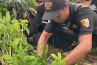 Anggota GP Ansor Trenggalek turunkan bibit tanaman buah dari kendaraan untuk diberikan pada masyarakat di wilayah Dongko.