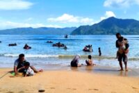Pantai pasir putih Karanggongso Trenggalek. (Foto: Google Local Guide @Indrawan Dedes Dedy)