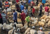 Suasana perdagangan hewan ternak di pasar hewan Trenggalek.