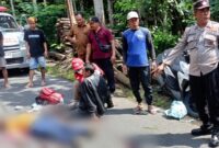 Kecelakaan tunggal yang dialami warga Tulungagung dengan istrinya saat melawati Leter S jalur Kampak-Munjungan.