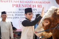 Bupati Trenggalek Mochamad Nur Arifin menepuk pundak sapi hewan kurban Presiden Prabowo saat hendak diserahkan ke Ponpes Kidul Kali.