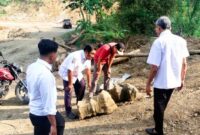 Disparbud Trenggalek ambil batu yang ditemukan warga Sengon. (Foto: Zamz)