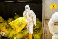 Ilustrasi pemusnahan sampah medis. (Foto: Antara).