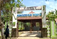 Konservasi penyu, wisata andalan milik Desa Wonocoyo dalam meraih berbagai penghargaan.