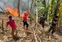 Ilustrasi. Saat BPBD Trenggalek berusaha padamkan api yang membakar wilayah Panggul