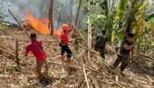 Ilustrasi. Saat BPBD Trenggalek berusaha padamkan api yang membakar wilayah Panggul