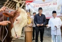 Bersama Dinas Peternakan, Wakil Bupati Trenggalek Syah Muhammad Natanegara serahkan sapi kurban Presiden Prabowo ke pengurus Masjid Ngelo, Desa Sukorame, Kecamatan Gandusari.