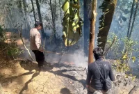 Petugas gabungan memadamkan kebakaran hutan di kawasan Desa Cakul, Kecamatan Dongko, Kabupaten Trenggalek. Kebakaran menghanguskan sekitar satu hektare lahan.
