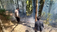 Petugas gabungan memadamkan kebakaran hutan di kawasan Desa Cakul, Kecamatan Dongko, Kabupaten Trenggalek. Kebakaran menghanguskan sekitar satu hektare lahan.