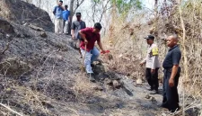 Lokasi lahan di Dusun Pingit Kidul, Desa Gador, Durenan, tempat korban ditemukan meninggal setelah kebakaran.