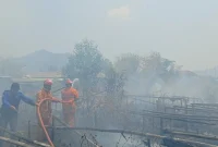 Petugas Damkar menangani kebakaran di wilayah Desa Tasikmadu, Kecamatan Watulimo, Trenggalek.